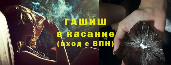 крисы Ельня