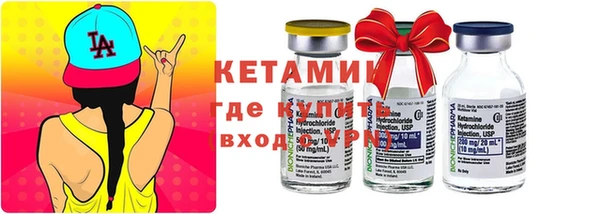 крисы Ельня