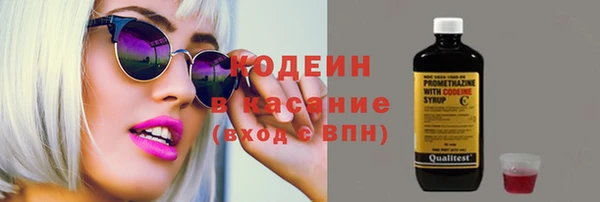 крисы Ельня
