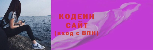 крисы Ельня