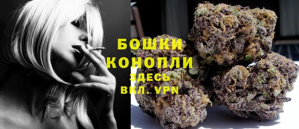 крисы Ельня