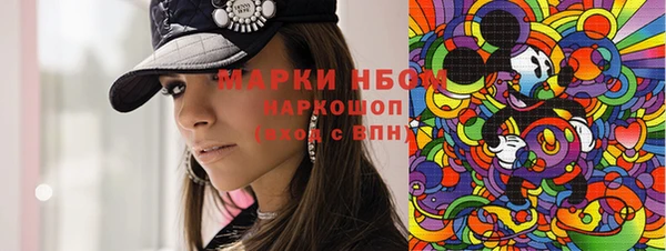 крисы Ельня