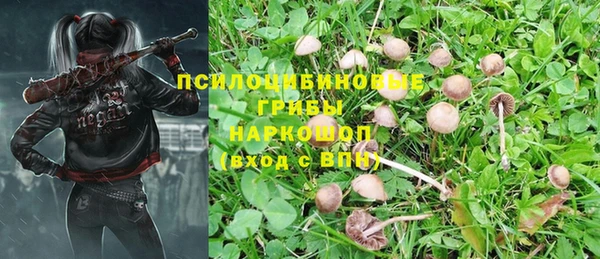 таблы Елизово