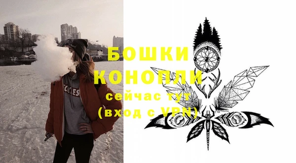 крисы Ельня